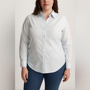 Theory Larissa/Wales XL Light Blue White Pinstripe Button Down Stretch Shirt